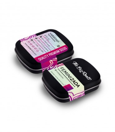 THE BIG ROOTS BLUE DREAM