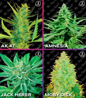 MIX ROOTS FEM SATIVO