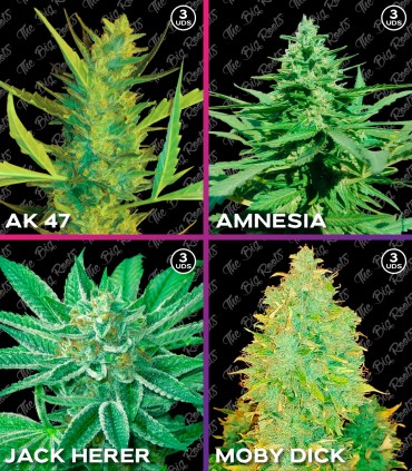 MIX ROOTS FEM SATIVO
