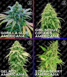 MIX ROOTS AMERICANAS