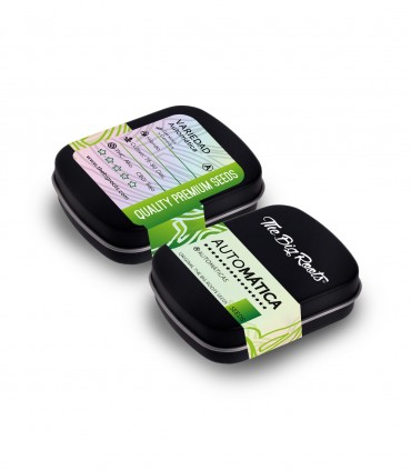 THE BIG ROOTS SOMANGO AUTO